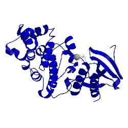 Image of CATH 2b9h