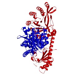 Image of CATH 2bas