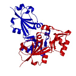Image of CATH 2bb3