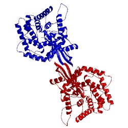 Image of CATH 2bb5
