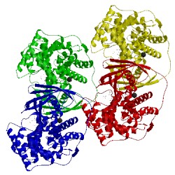 Image of CATH 2bb6
