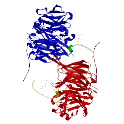 Image of CATH 2bbk