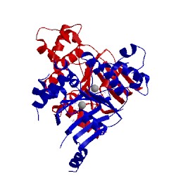 Image of CATH 2bbs