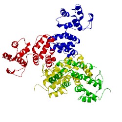 Image of CATH 2bbz