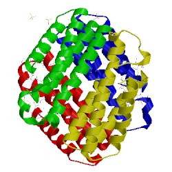 Image of CATH 2bc5