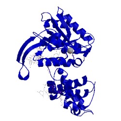 Image of CATH 2bcv