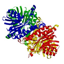 Image of CATH 2bd0