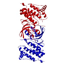 Image of CATH 2bdf