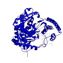 Image of CATH 2bdp