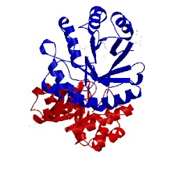 Image of CATH 2bdq