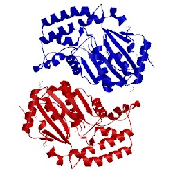 Image of CATH 2bdu