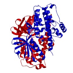 Image of CATH 2bdw