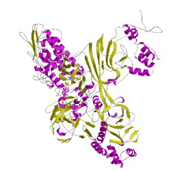 Image of CATH 2be5C