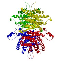 Image of CATH 2bfa