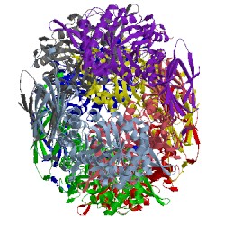 Image of CATH 2bfg