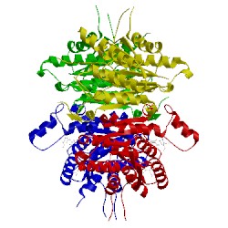 Image of CATH 2bfm