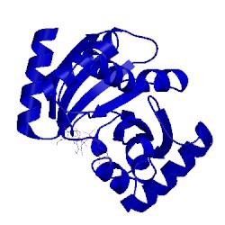 Image of CATH 2bfq