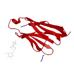 Image of CATH 2bfv