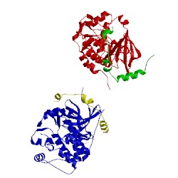 Image of CATH 2bfy