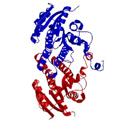 Image of CATH 2bgk