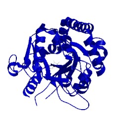 Image of CATH 2bgu