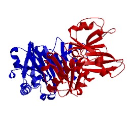 Image of CATH 2bh1