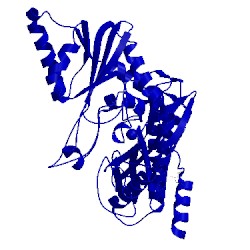Image of CATH 2bhc