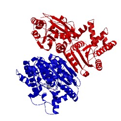 Image of CATH 2bif