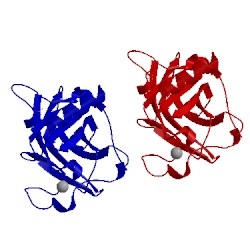 Image of CATH 2bim