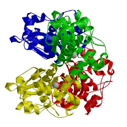 Image of CATH 2bkb