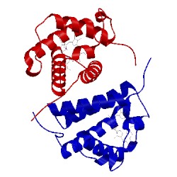 Image of CATH 2bkm