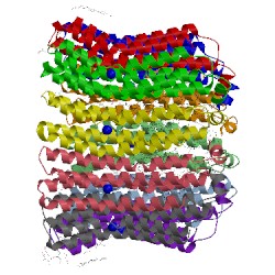 Image of CATH 2bl2