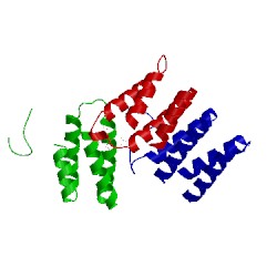 Image of CATH 2bl8