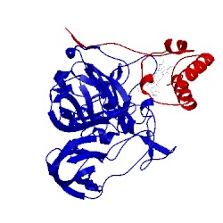 Image of CATH 2blf