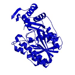 Image of CATH 2bll