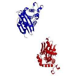 Image of CATH 2blm