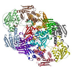 Image of CATH 2bm8