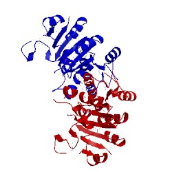 Image of CATH 2bnf
