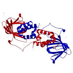 Image of CATH 2bnm