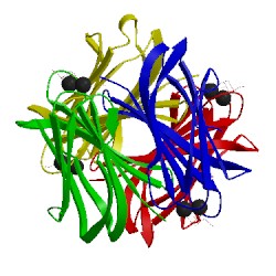 Image of CATH 2boj