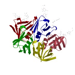 Image of CATH 2bos