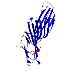 Image of CATH 2bp5