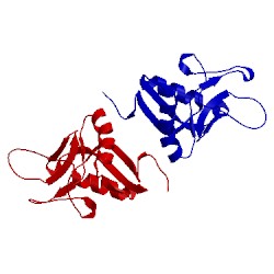 Image of CATH 2bpd