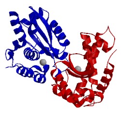 Image of CATH 2bpi