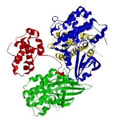 Image of CATH 2bpm