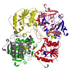 Image of CATH 2br3