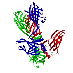 Image of CATH 2bsd