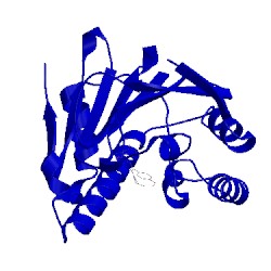 Image of CATH 2bsm