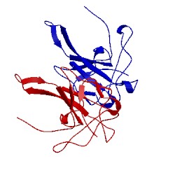 Image of CATH 2btl
