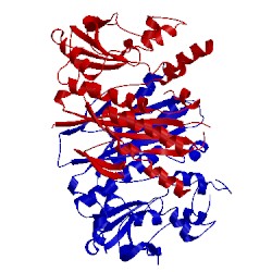 Image of CATH 2btu